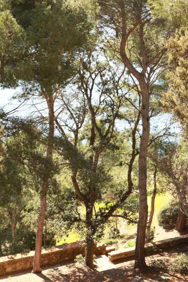parc hotelier résidence hotel Le Provençal, Giens, Porquerolles, Var